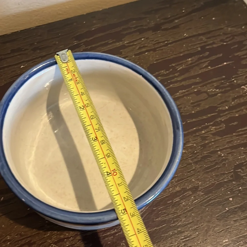 Louisville Stoneware pet food water bowl “Abby”